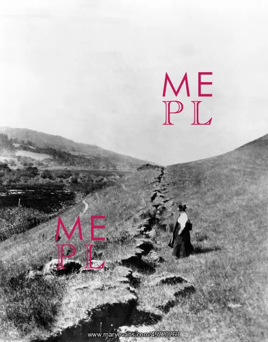 : California Earthquake, 1906. Looking north ? : California Earthquake, 1906. Looking north ?