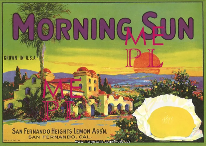  : California Sunrise