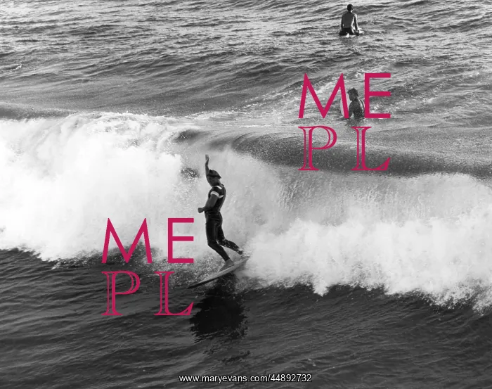 : CALIFORNIA SURFERS : CALIFORNIA SURFERS