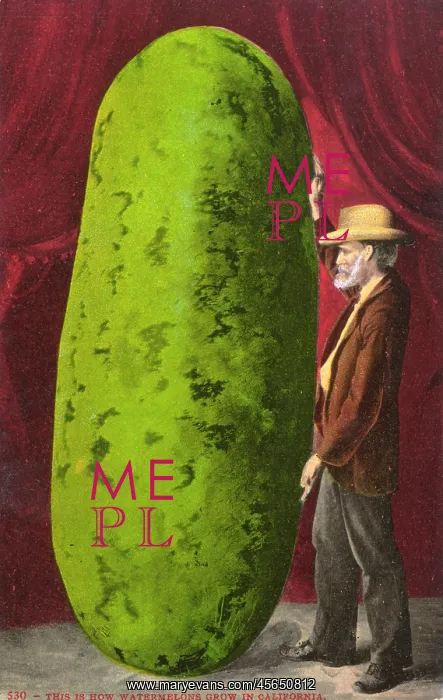 : Californian farmer with an immense watermelon : Californian farmer with an immense watermelon