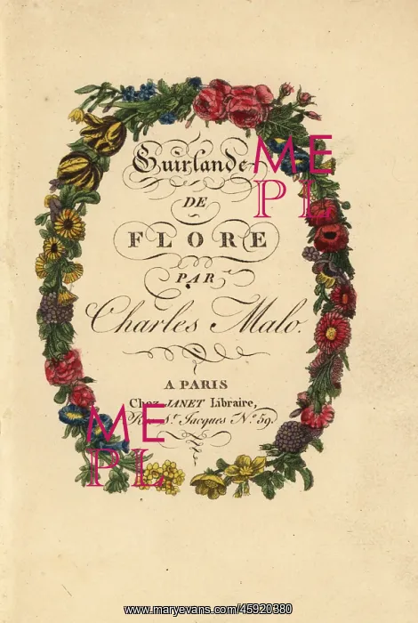 : Calligraphic title page within a floral wreath : Calligraphic title page within a floral wreath