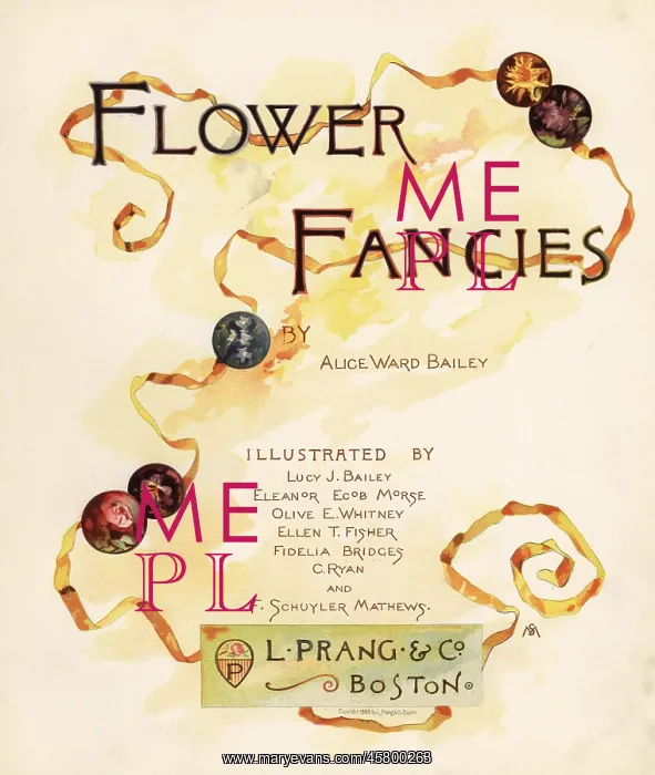 : Calligraphic title page with ribbons and ornaments : Calligraphic title page with ribbons and ornaments