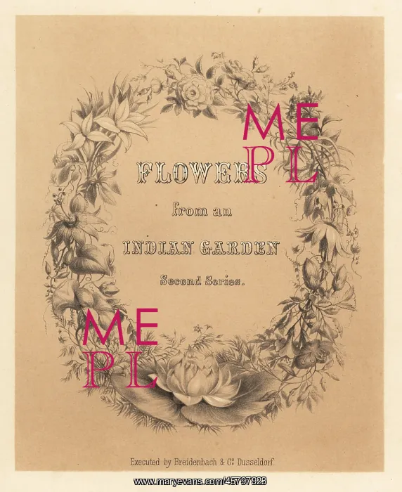 : Calligraphic title page with wreath of flowers : Calligraphic title page with wreath of flowers