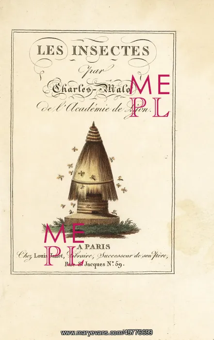  : Calligraphic title and vignette of beehive with bees