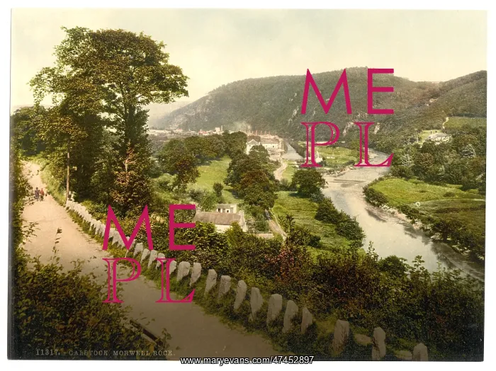 : Calstock, Morwell Rock, Cornwall, England : Calstock, Morwell Rock, Cornwall, England