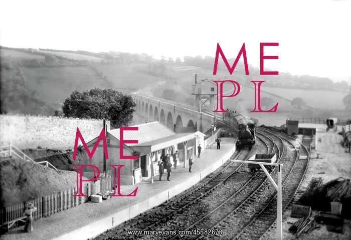  : Calstock, Station 1908