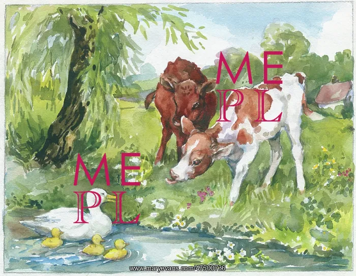 : Two calves looking at duck and three ducklings : Two calves looking at duck and three ducklings