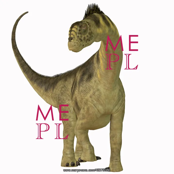 : Camarasaurus dinosaur : Camarasaurus dinosaur