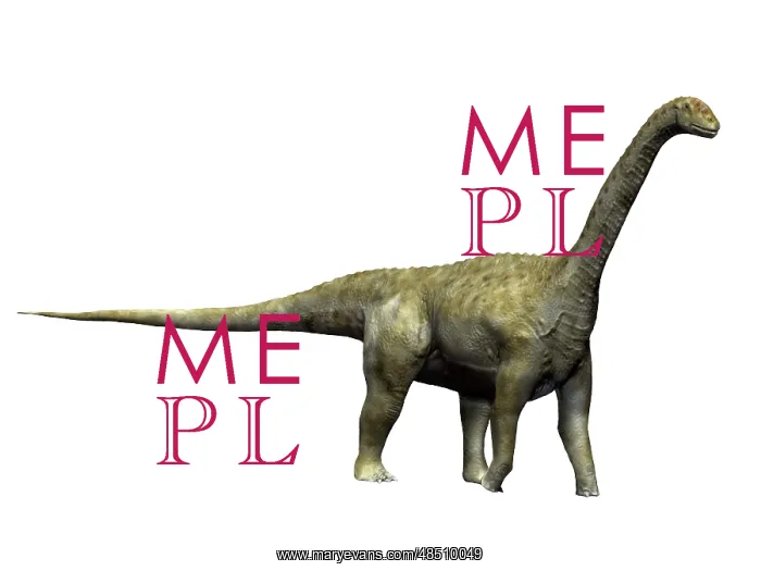  : Camarasaurus dinosaur