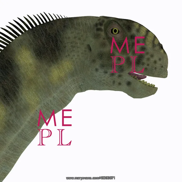 : Camarasaurus dinosaur head : Camarasaurus dinosaur head