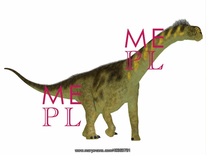 : Camarasaurus dinosaur, side profile : Camarasaurus dinosaur, side profile