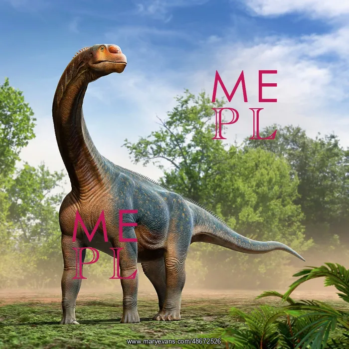 : Camarasaurus dinosaur roaming in the forest : Camarasaurus dinosaur roaming in the forest