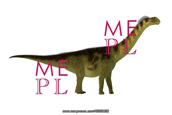 : Camarasaurus dinosaur, side view on white background : Camarasaurus dinosaur, side view on white background