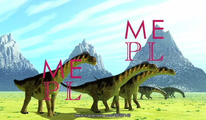 : Camarasaurus dinosaurs eating sparse vegetation : Camarasaurus dinosaurs eating sparse vegetation