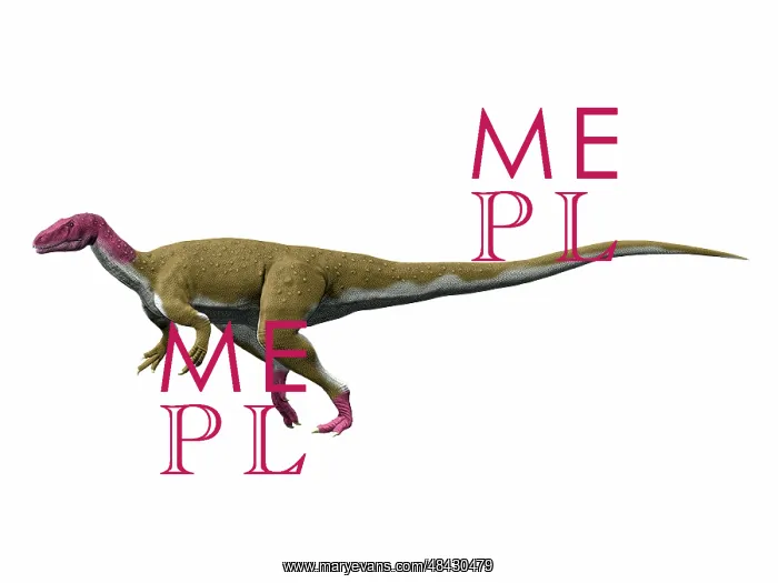  : Camarillasaurus cirugedae, Early Cretaceous of Spain