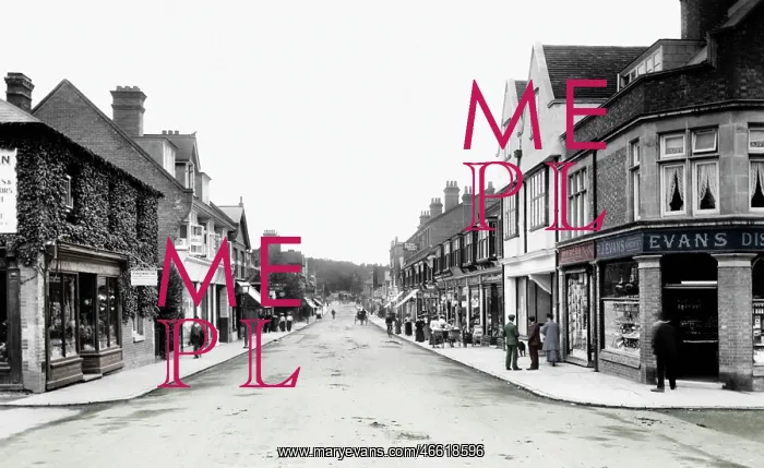  : Camberley, High Street 1906