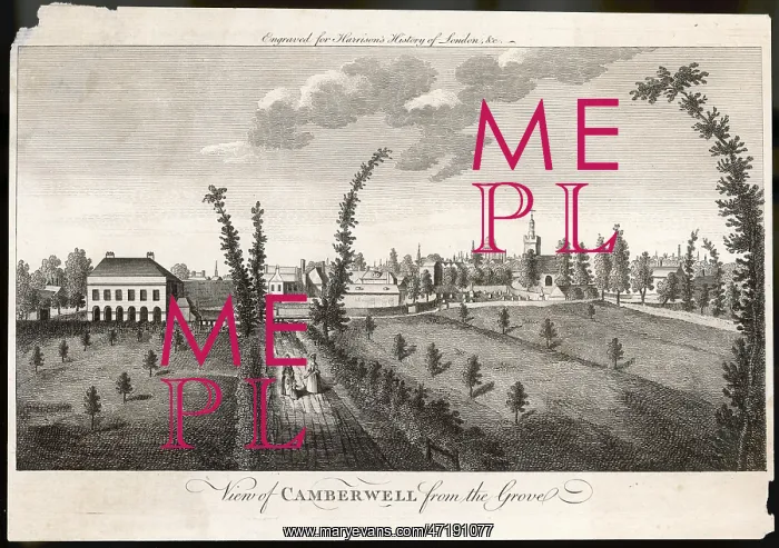 : CAMBERWELL : CAMBERWELL