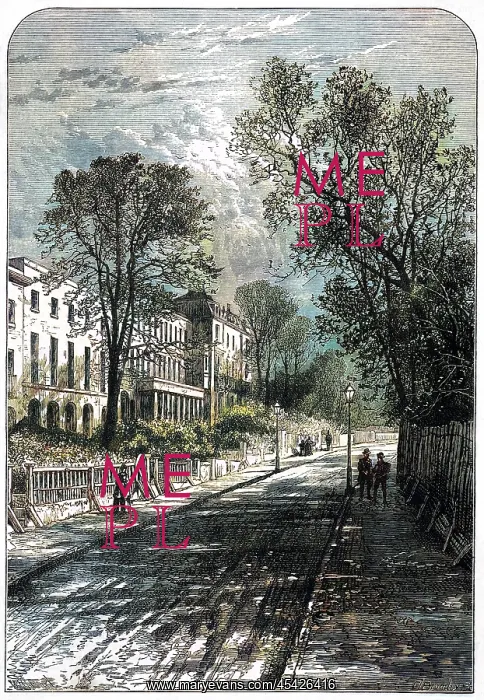  : CAMBERWELL GROVE