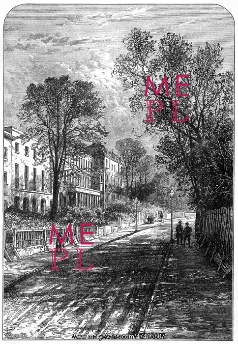  : CAMBERWELL GROVE