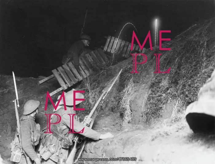 : Cambrai 1917 : Cambrai 1917