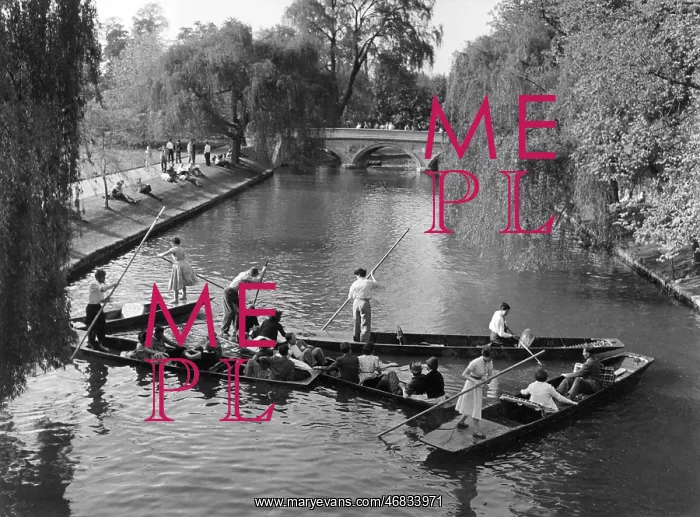 : CAMBRIDGE / BACKS 1956 : CAMBRIDGE / BACKS 1956