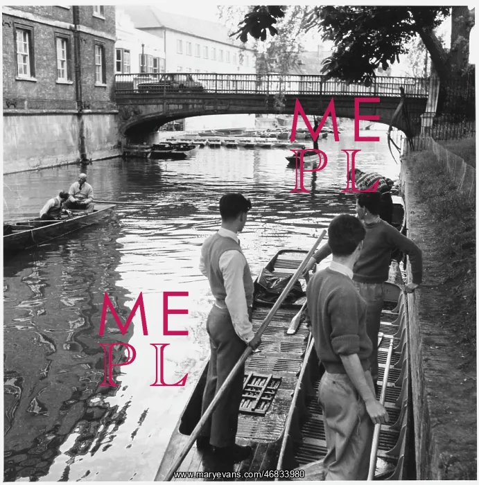 : CAMBRIDGE / BACKS 1956 : CAMBRIDGE / BACKS 1956