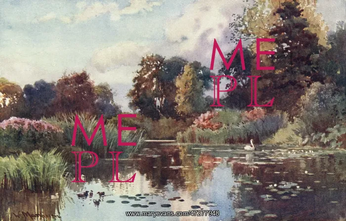  : CAMBRIDGE / BOTANIC GDNS