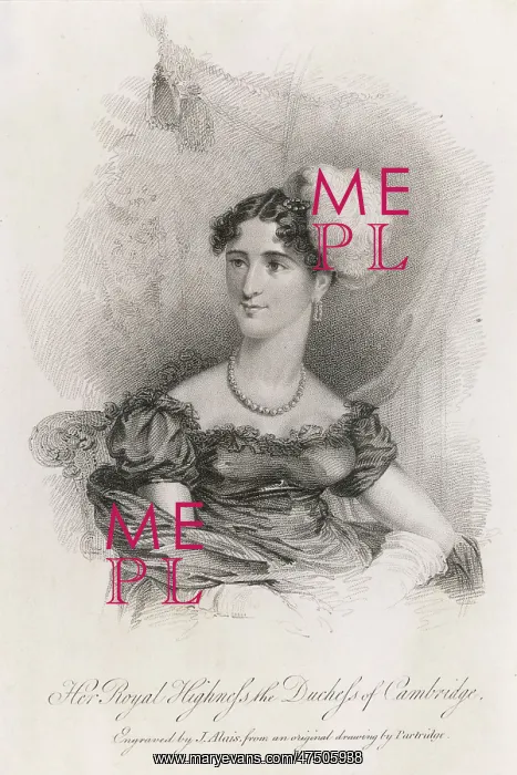 : CAMBRIDGE / PARTRIDGE : CAMBRIDGE / PARTRIDGE