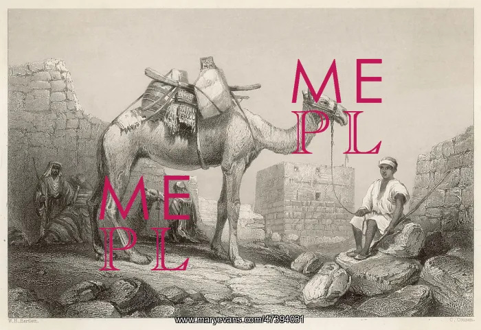: CAMEL (BARTLETT) : CAMEL (BARTLETT)