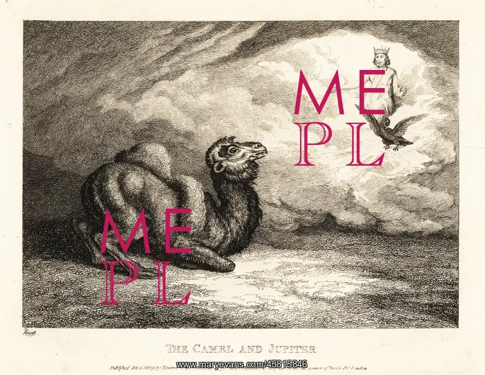 : A camel begging Jupiter for horns : A camel begging Jupiter for horns