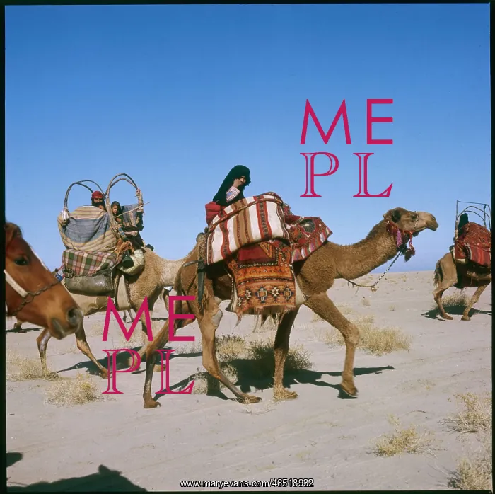 : CAMEL CARAVAN IRAQ 1979 : CAMEL CARAVAN IRAQ 1979