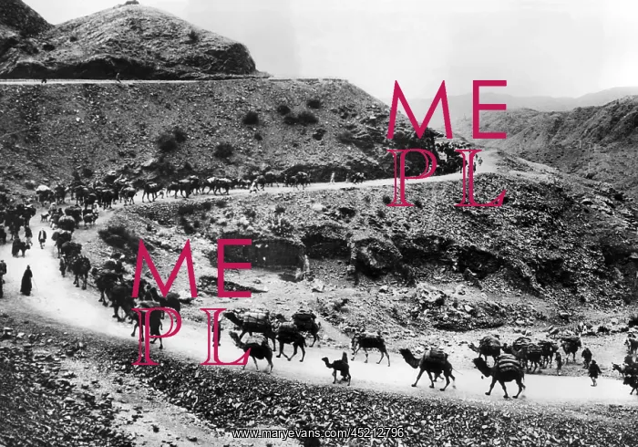 : A camel caravan on the Khyber Pass on the ? : A camel caravan on the Khyber Pass on the ?