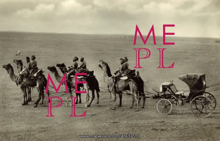  : Camel carriage, Bikaner, Thar Desert, Rajasthan, India