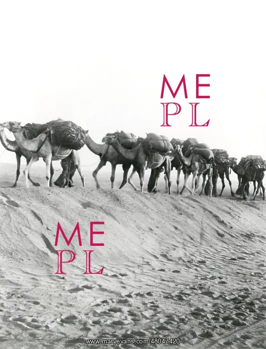 : Camel convoy at Shellal, Egypt, WW1 : Camel convoy at Shellal, Egypt, WW1