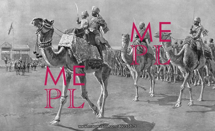 : Camel corps at Delhi Durbar, 1911 : Camel corps at Delhi Durbar, 1911