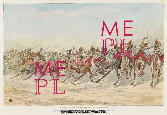 : CAMEL CORPS REVIEW / CAIRO : CAMEL CORPS REVIEW / CAIRO