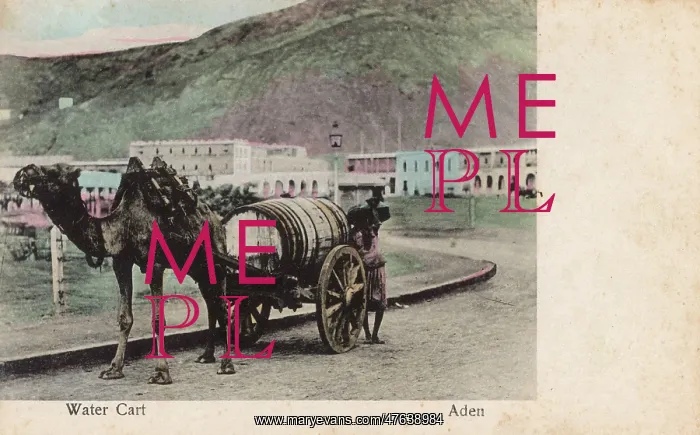  : Camel-drawn water cart, Aden