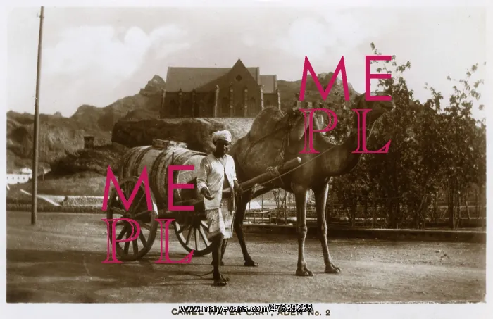  : Camel-drawn water cart, Aden