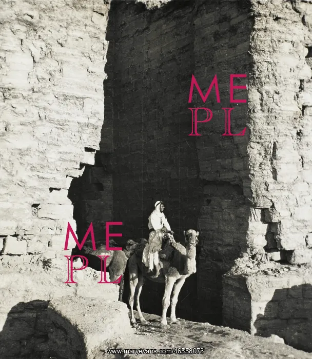 : Camel driver at Petra, Jordan : Camel driver at Petra, Jordan