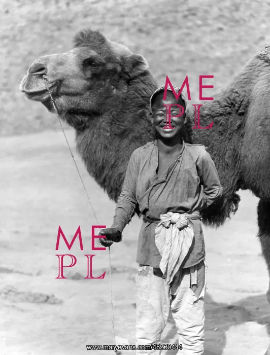 : Camel leader in China, 1927 : Camel leader in China, 1927