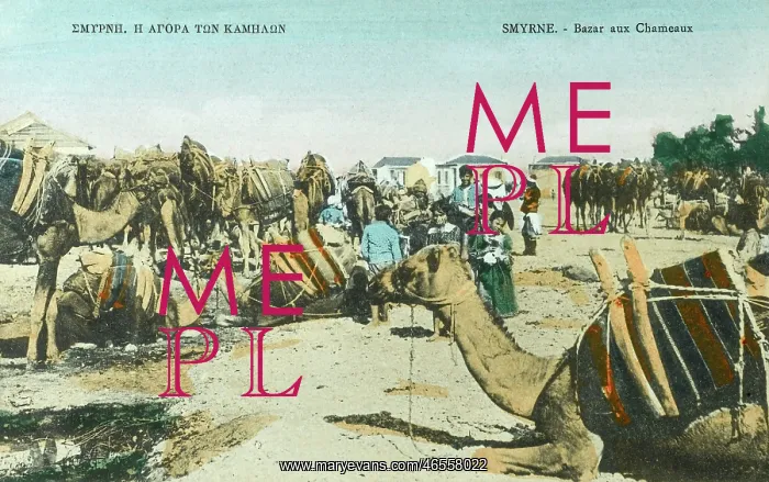  : Camel Market - Izmir, Turkey