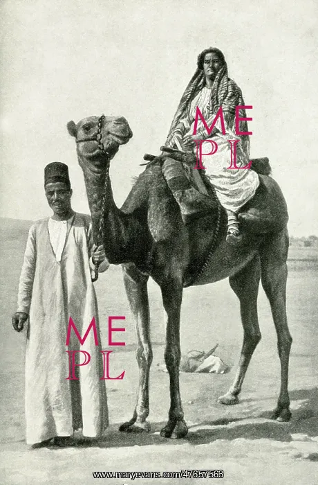 : Camel in Nubian Desert, South Sudan, East Central Africa : Camel in Nubian Desert, South Sudan, East Central Africa