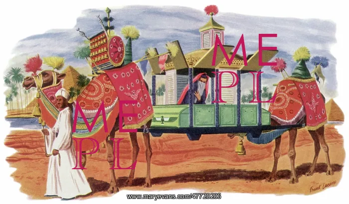  : Camel Palanquin