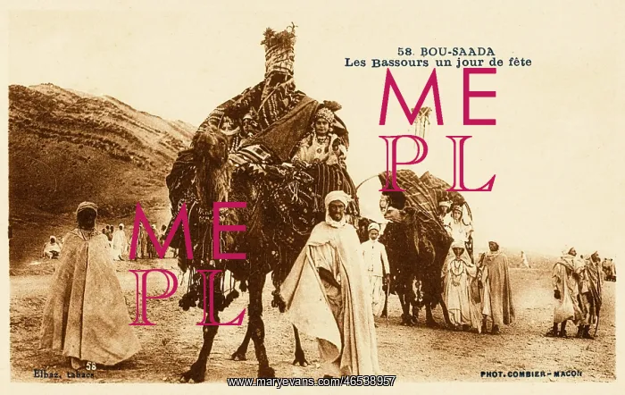 : A camel palanquin (covered litter) : A camel palanquin (covered litter)