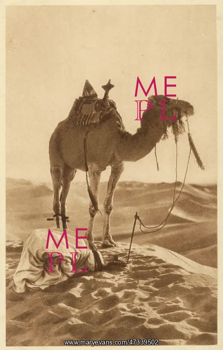 : CAMEL & PRAYING MAN 1920 : CAMEL & PRAYING MAN 1920