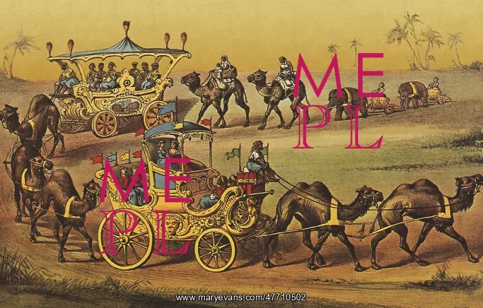  : Camel Procession