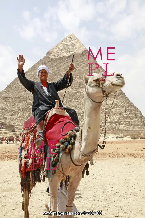 : Camel and Pyramid of Khafre in Cairo, Egypt : Camel and Pyramid of Khafre in Cairo, Egypt