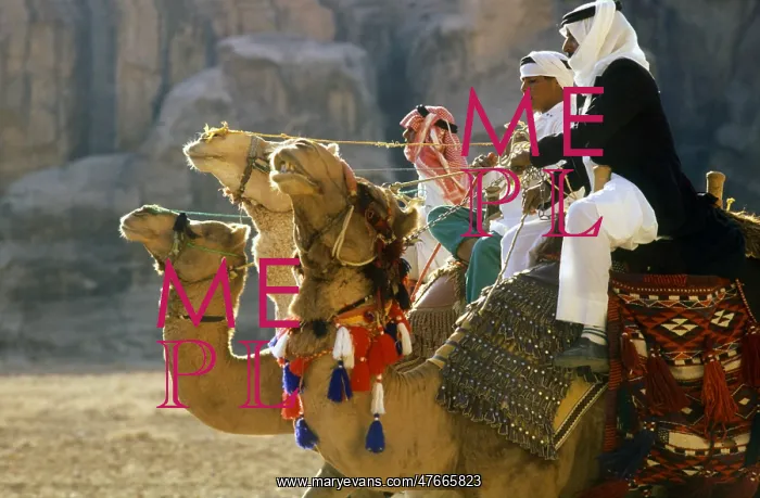  : Three camel riders, Jordan