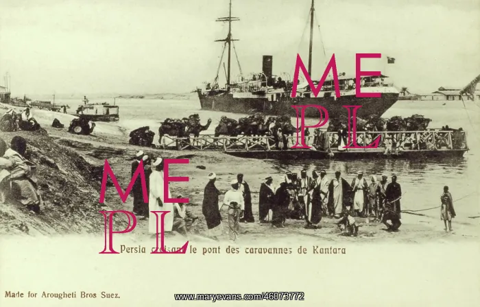 : Camel train on a chain ferry at Kantara, Egypt : Camel train on a chain ferry at Kantara, Egypt