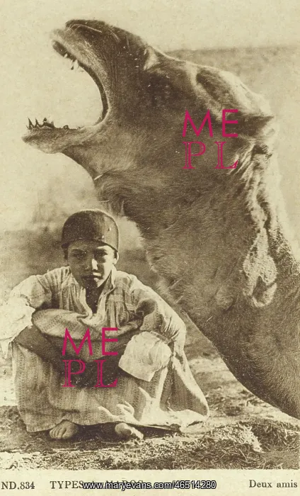 : Camel and Young Moroccan Boy - Two Friends : Camel and Young Moroccan Boy - Two Friends